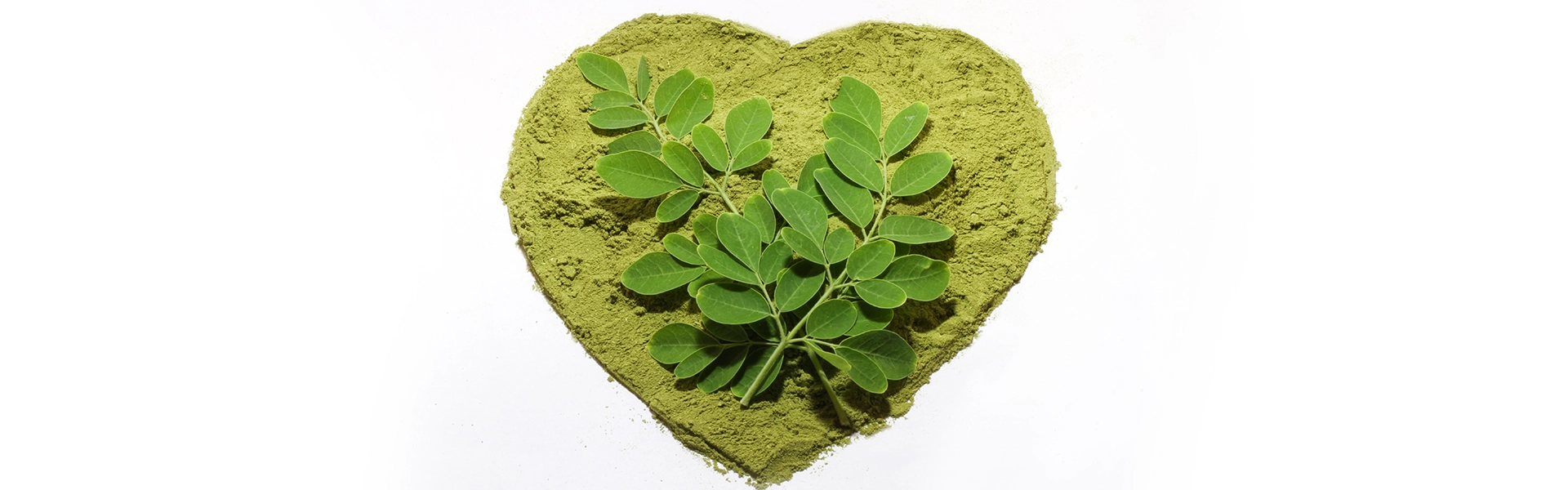 Utilisation saine du Moringa pour éviter les effets indésirables