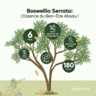 180 gélules sans stéarate de magnésium et adaptées à la majorité des régimes alimentaires spécifiques