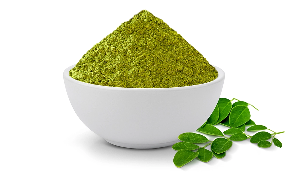 Le Moringa en complément alimentaire peut être une source de nutriments essentiels et d’antioxydants. 